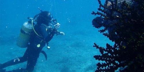 Diving-Cambodia
